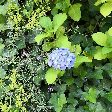 Apartment Hartmann *