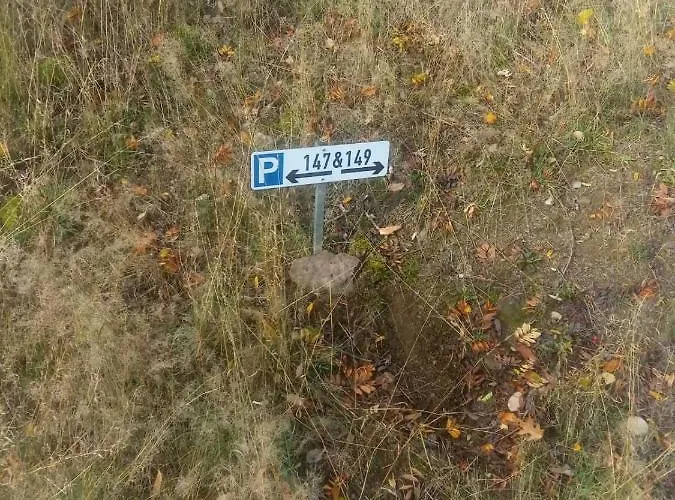 Hartmann 아파트 프란케나우